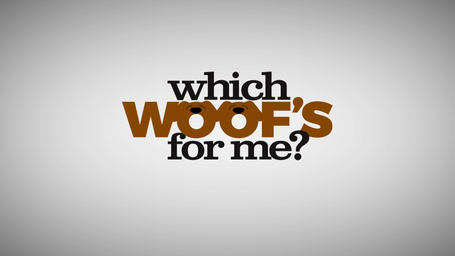 Which Woof's For Me? EP2 Excerpt